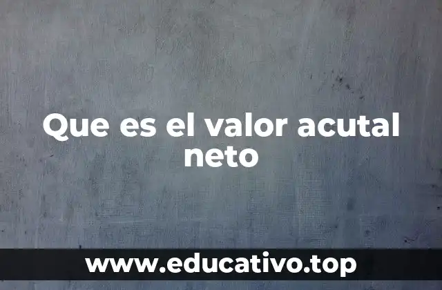 Que es el valor acutal neto