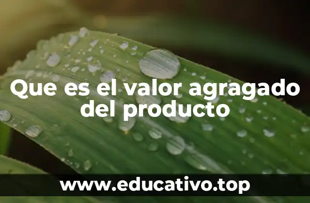 Que es el valor agragado del producto