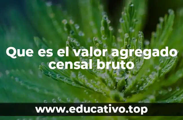 Que es el valor agregado censal bruto