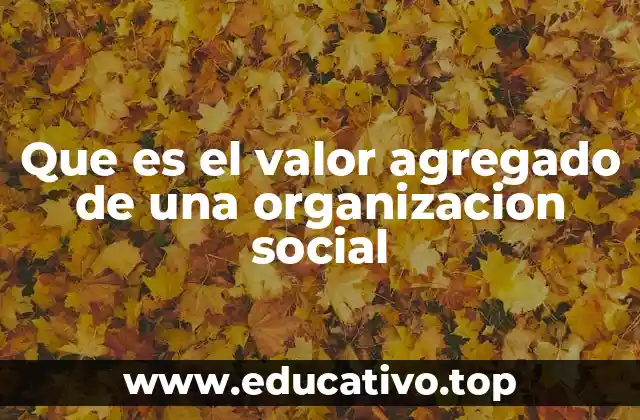 Que es el valor agregado de una organizacion social