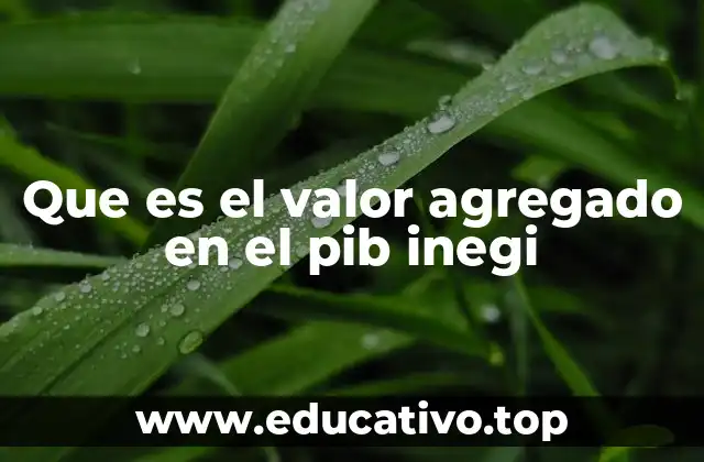 El papel del valor agregado en la medición del PIB