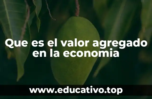 Que es el valor agregado en la economia