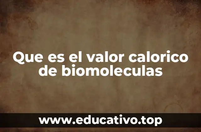 Que es el valor calorico de biomoleculas