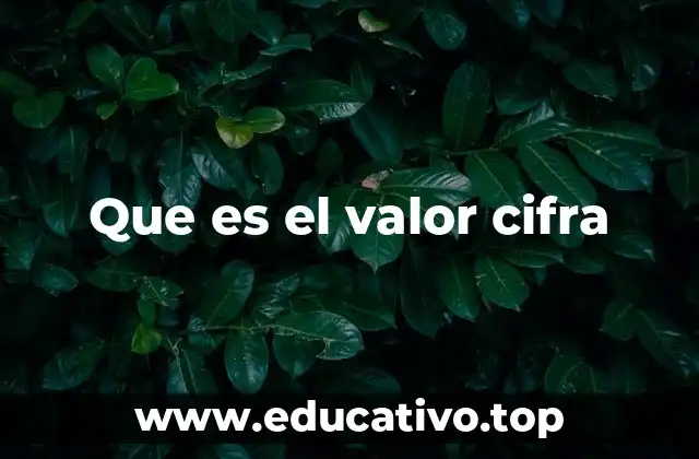 Que es el valor cifra