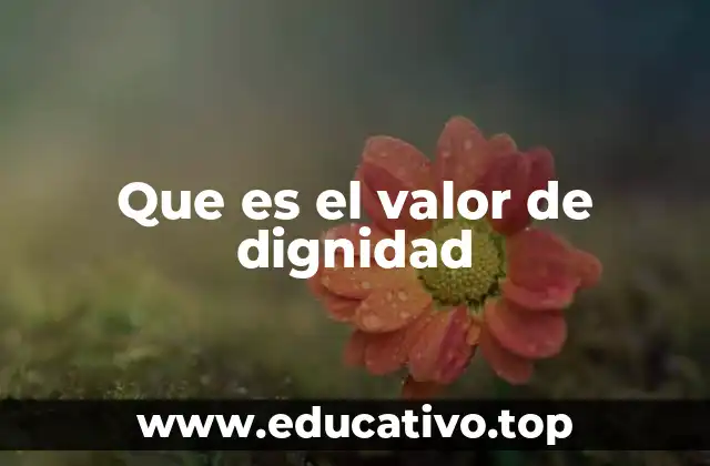Que es el valor de dignidad