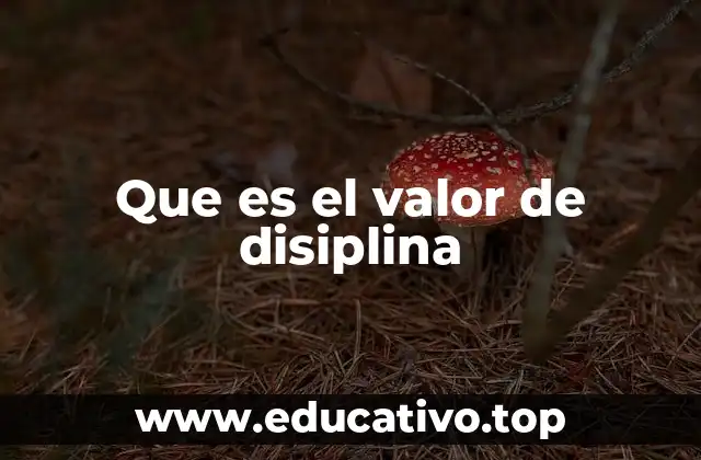 El camino hacia el éxito comienza con una rutina consistente