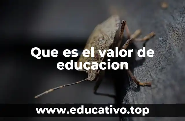 Que es el valor de educacion