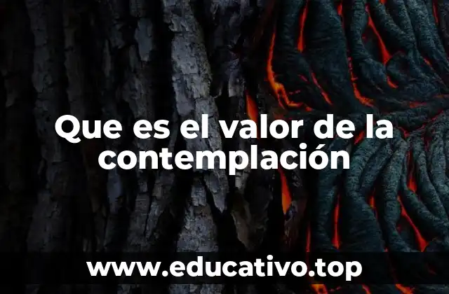 Que es el valor de la contemplación