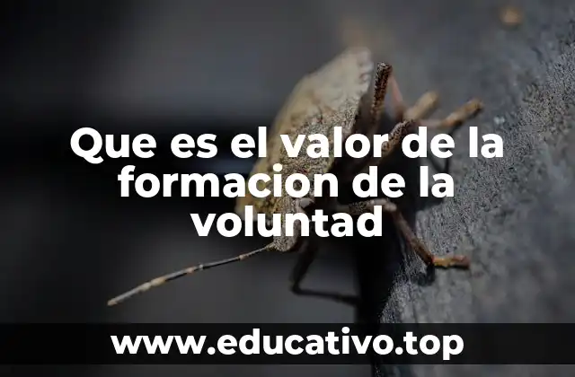 Que es el valor de la formacion de la voluntad