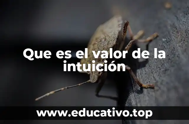 Que es el valor de la intuición