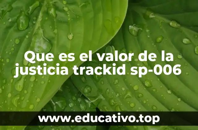 Que es el valor de la justicia trackid sp-006
