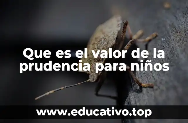 Que es el valor de la prudencia para niños