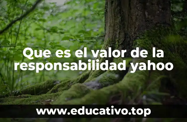 Que es el valor de la responsabilidad yahoo