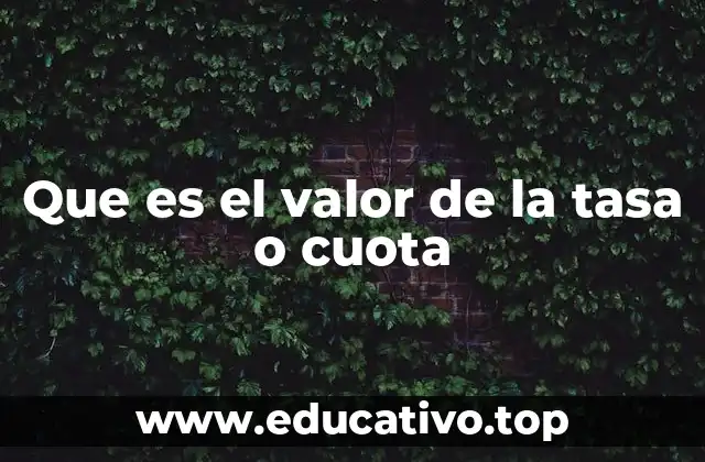 Que es el valor de la tasa o cuota