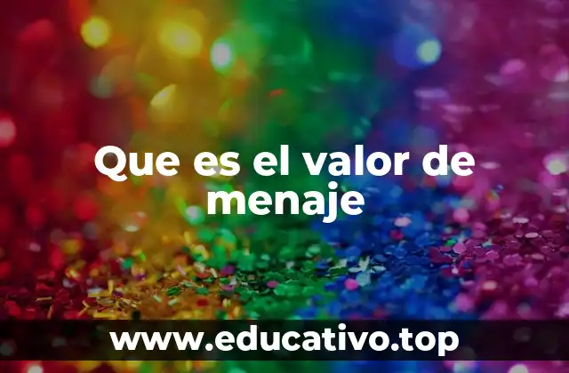 Que es el valor de menaje