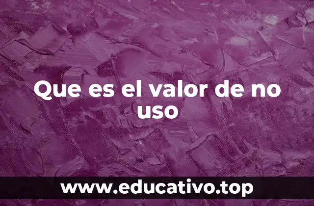 Que es el valor de no uso