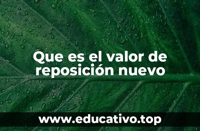 Que es el valor de reposición nuevo