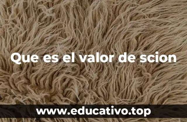 Que es el valor de scion