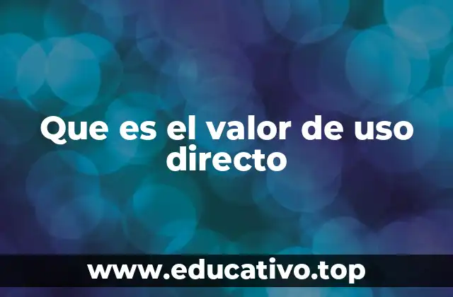 Que es el valor de uso directo