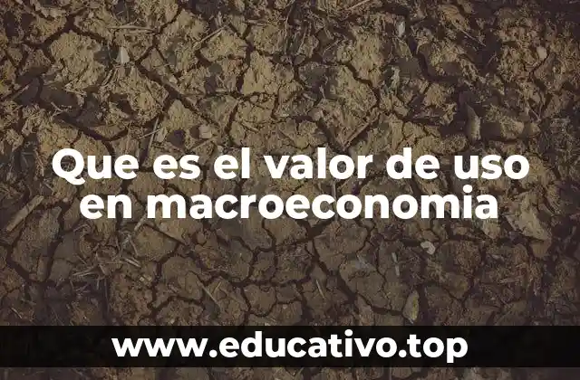 Que es el valor de uso en macroeconomia