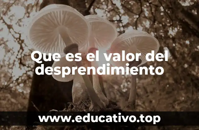 Que es el valor del desprendimiento