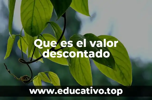 Que es el valor descontado