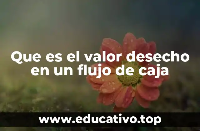 Que es el valor desecho en un flujo de caja