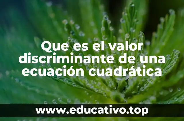 Que es el valor discriminante de una ecuación cuadrática