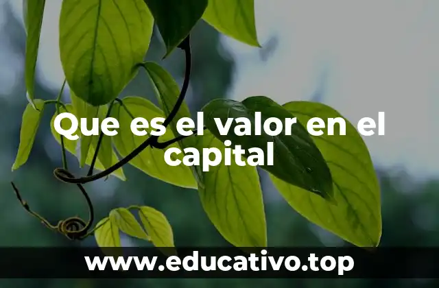 El rol del capital en la estructura financiera de una empresa