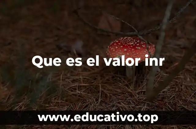 Que es el valor inr