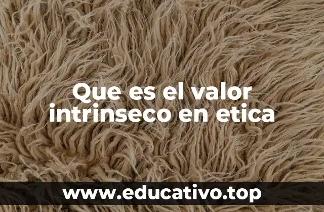 Que es el valor intrinseco en etica