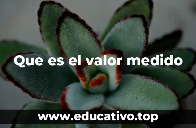 Que es el valor medido