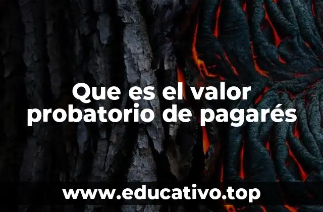 Que es el valor probatorio de pagarés