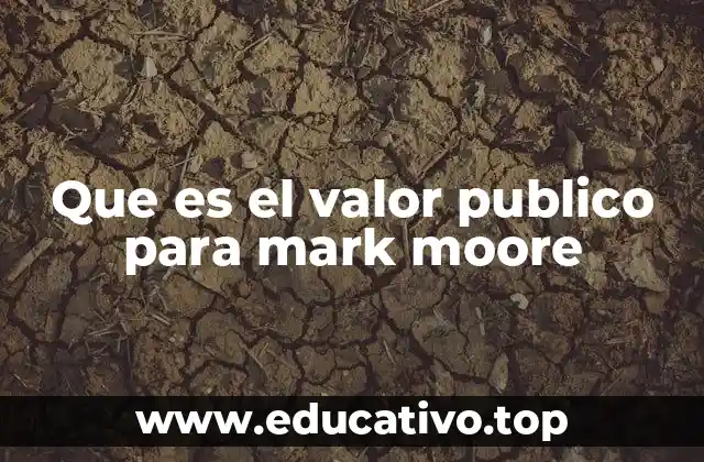 Que es el valor publico para mark moore