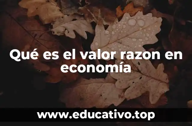 Qué es el valor razon en economía