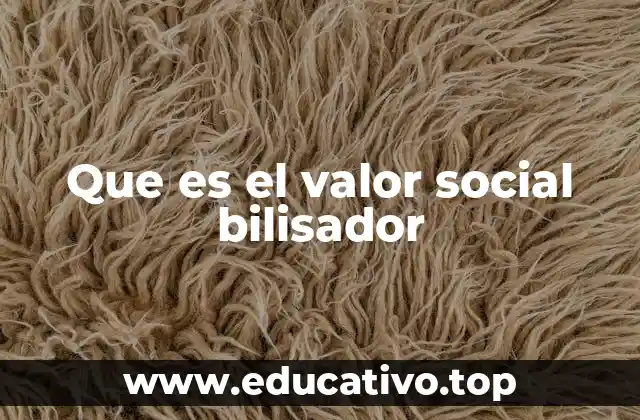 Que es el valor social bilisador