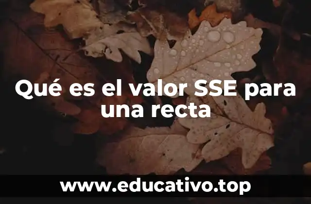 Qué es el valor SSE para una recta