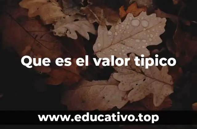 El rol del valor representativo en el análisis de datos