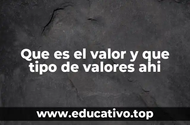 Que es el valor y que tipo de valores ahi