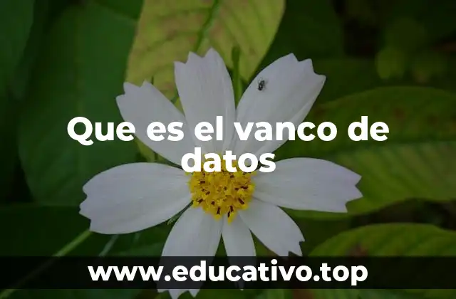 Que es el vanco de datos