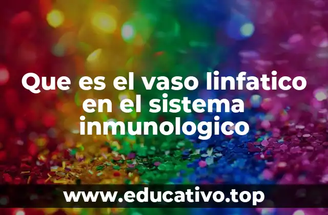 Que es el vaso linfatico en el sistema inmunologico