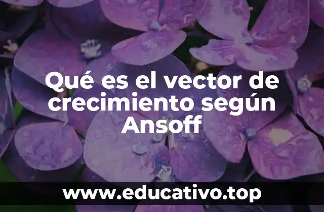 Qué es el vector de crecimiento según Ansoff