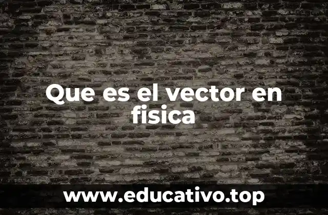 Que es el vector en fisica