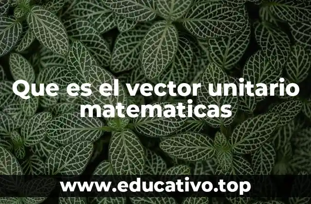 Que es el vector unitario matematicas