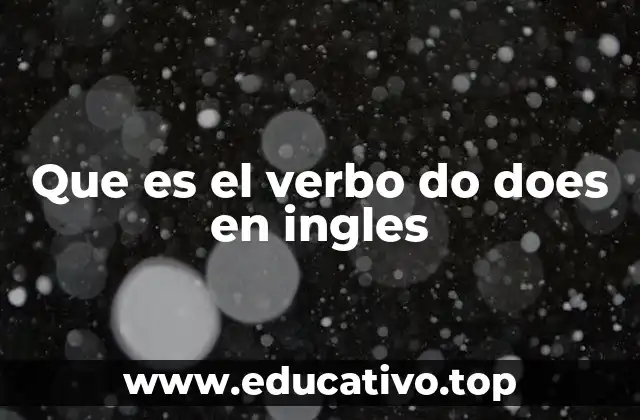 Que es el verbo do does en ingles