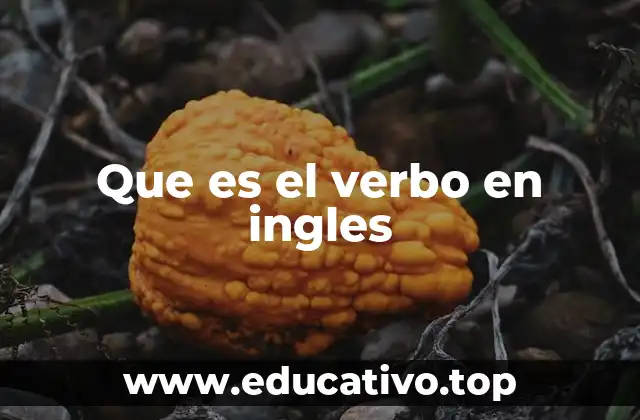 Que es el verbo en ingles