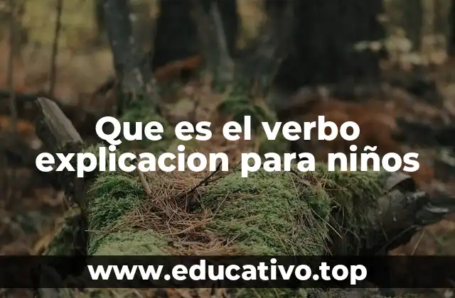 Que es el verbo explicacion para niños