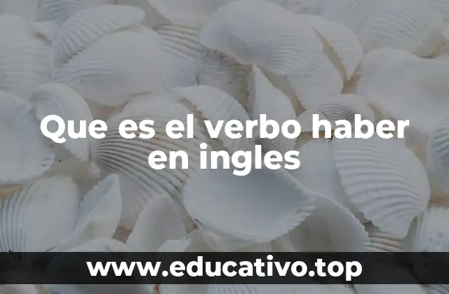 Que es el verbo haber en ingles