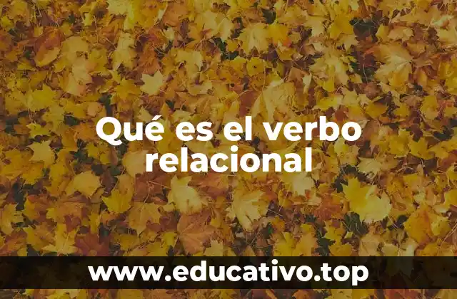Qué es el verbo relacional
