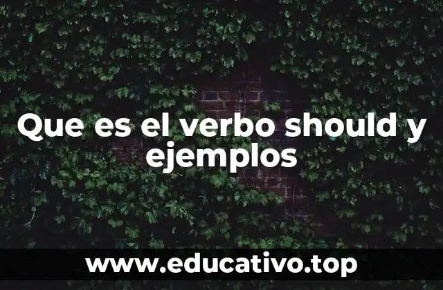 Que es el verbo should y ejemplos